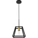 Coatesville 1 Light 9 inch Brass and Black Pendant Ceiling Light