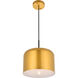 Amity 1 Light 11 inch Satin Gold Pendant Ceiling Light