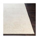 Coolbaugh 36 X 24 inch Beige Rug, Rectangle