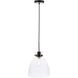 Genesee 1 Light 11 inch Black Pendant Ceiling Light