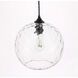 Pittsfield 1 Light 12 inch Black Pendant Ceiling Light