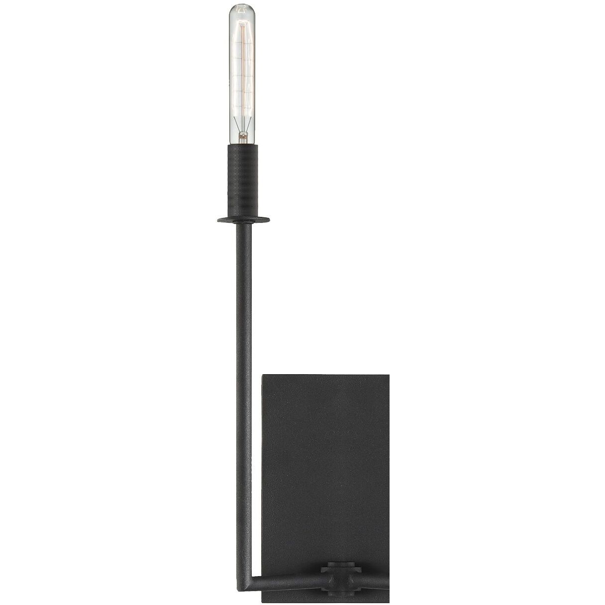 Hannasville Sconce Wall Light in Black