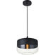 Lock Haven 1 Light 10 inch Black Pendant Ceiling Light