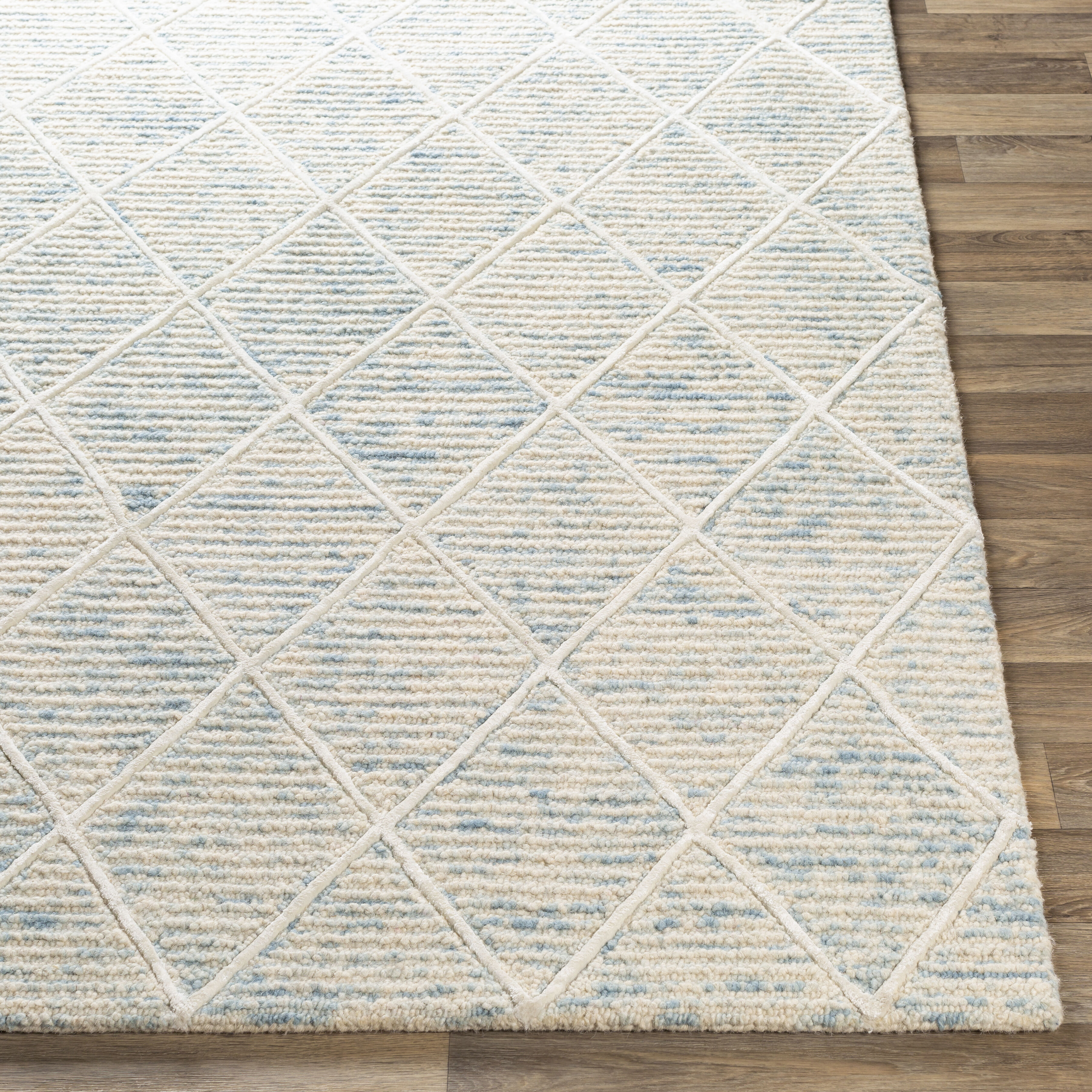 Chester 72 X 48 inch Pale Blue Rug, Rectangle