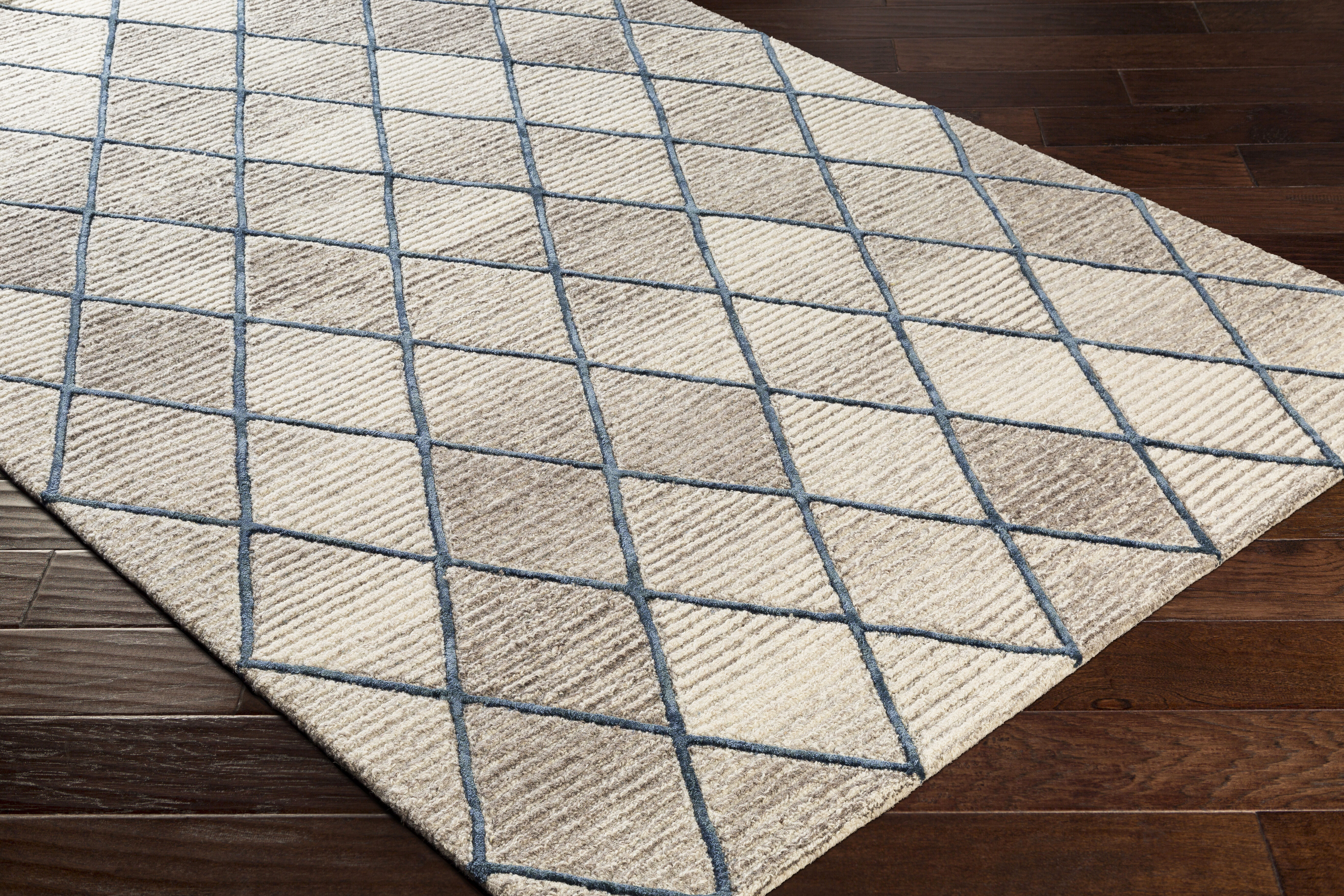 Chester 90 X 60 inch Taupe Rug, Rectangle