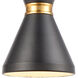 Pomfret 1 Light 7 inch Matte Black with Brushed Brass Mini Pendant Ceiling Light