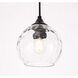 Womelsdorf 1 Light 6 inch Black Pendant Ceiling Light