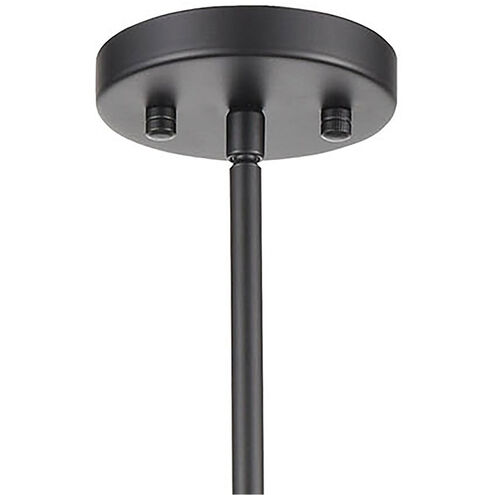 Homer 1 Light 10 inch Matte Black with Satin Brass Mini Pendant Ceiling Light