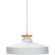Briarcliff 1 Light 16 inch White Pendant Ceiling Light