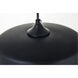 Lock Haven 1 Light 10 inch Black Pendant Ceiling Light