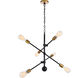 Newtown 6 Light 29 inch Black and Brass Pendant Ceiling Light