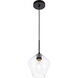Rochester 1 Light 8 inch Black Pendant Ceiling Light