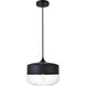 Lock Haven 1 Light 10 inch Black Pendant Ceiling Light