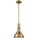 Fishkill 1 Light 9 inch Satin Brass Mini Pendant Ceiling Light