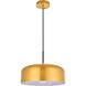 Amity 1 Light 13.8 inch Satin Gold Pendant Ceiling Light