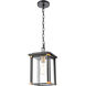 Gettysburg 8 inch 100.00 watt Matte Black with Brushed Brass Outdoor Pendant