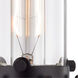 Muhlenberg Sconce Wall Light