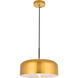 Amity 1 Light 13.8 inch Satin Gold Pendant Ceiling Light