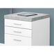 Robeson White and Black Filing Cabinet