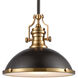 Pittsburgh 1 Light 17 inch Oil Rubbed Bronze with Satin Brass Pendant Ceiling Light