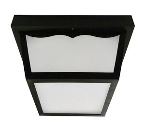 Montauk LED 9.75 inch Black Outdoor LED Flush, Aspect