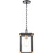 Gettysburg 8 inch 100.00 watt Matte Black with Brushed Brass Outdoor Pendant