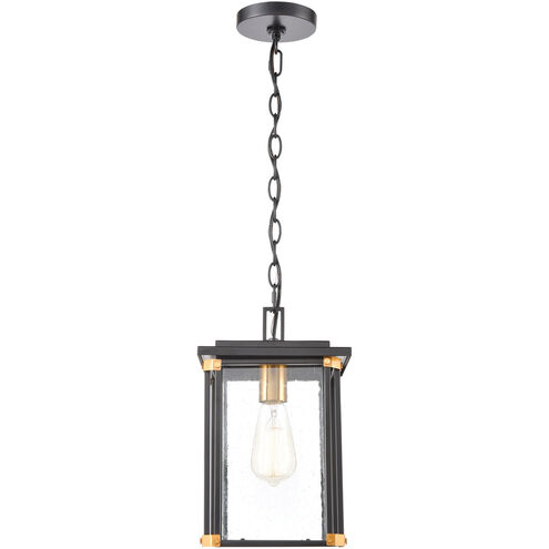 Gettysburg 1 Light 8 inch Matte Black with Brushed Brass Outdoor Pendant