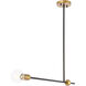 Bergen 1 Light 2 inch Black and Brass Pendant Ceiling Light