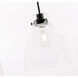 Genesee 1 Light 11 inch Black Pendant Ceiling Light