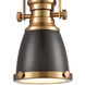 Pittsburgh 1 Light 8 inch Oil Rubbed Bronze with Satin Brass Mini Pendant Ceiling Light