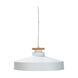 Briarcliff 1 Light 16 inch White Pendant Ceiling Light