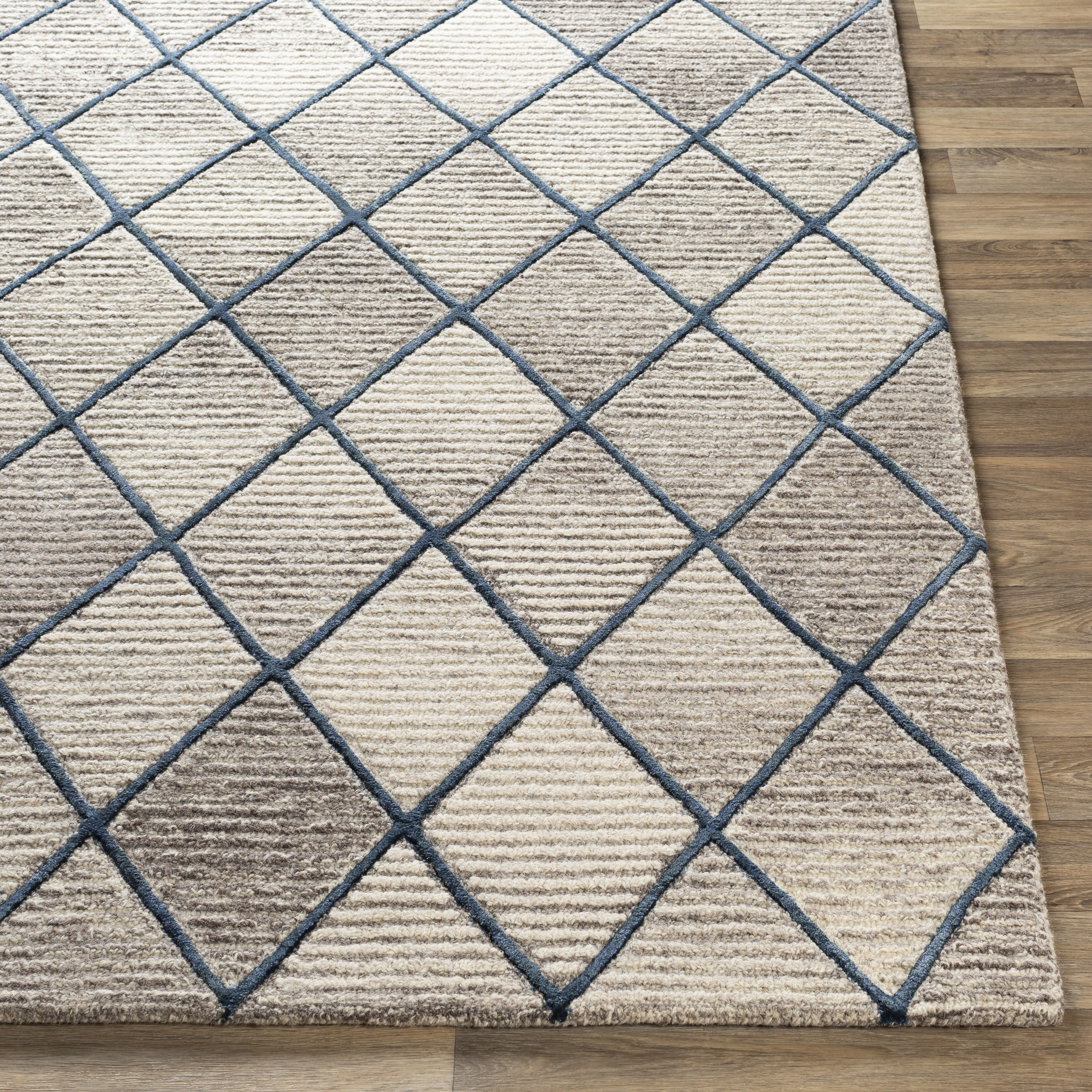 Chester 90 X 60 inch Taupe Rug, Rectangle