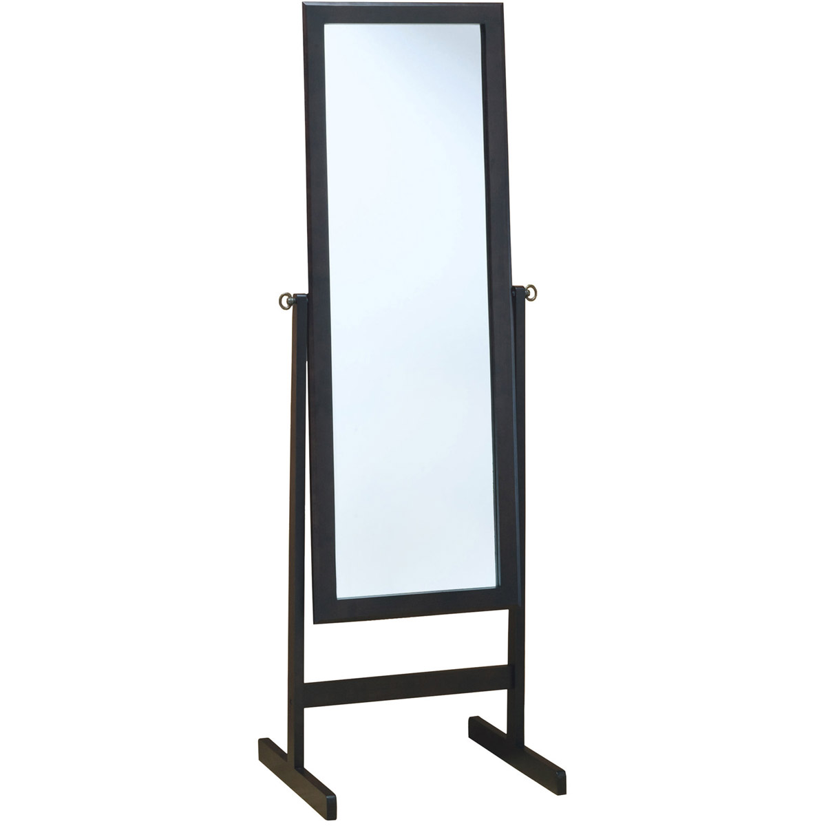Kirkland 60 X 21 inch Cappuccino Mirror